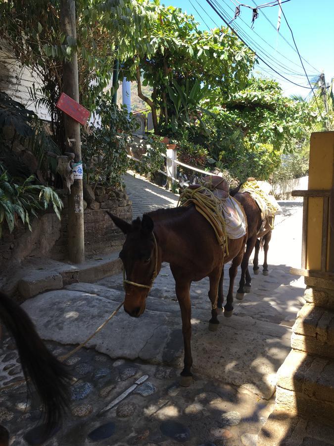 Casa Berita Villa Yelapa Exteriör bild